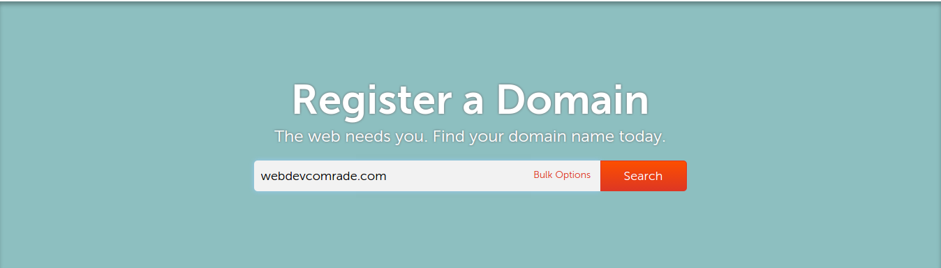 New domain name input box