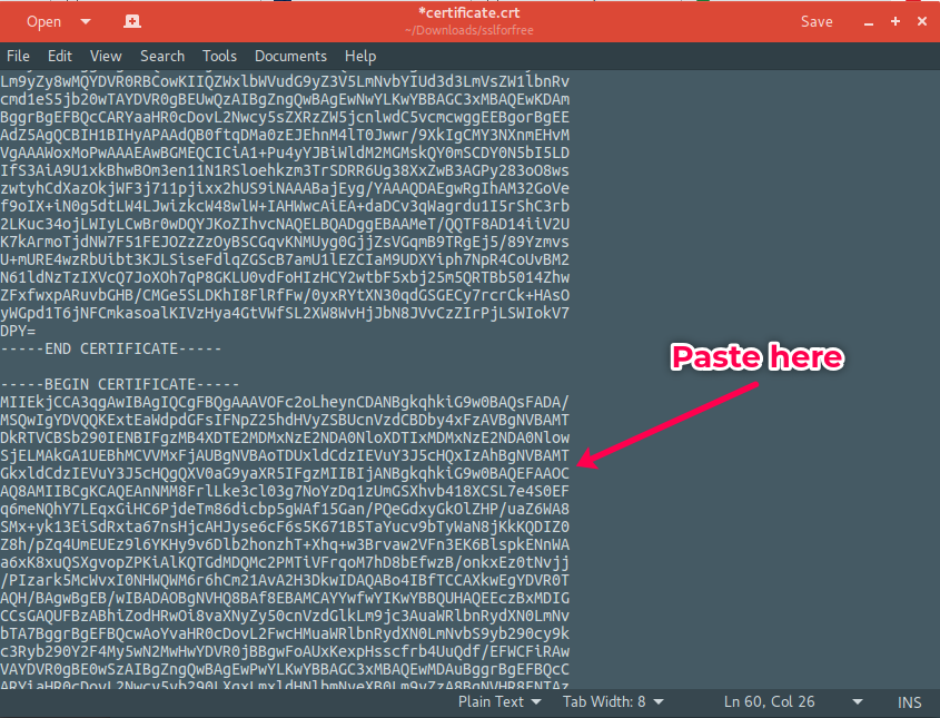 paste ca content into certificate file